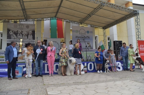 Киноложка изложба THE DOG SHOW – Първомай 2019